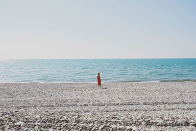 Rear view of man on beach against clear sky