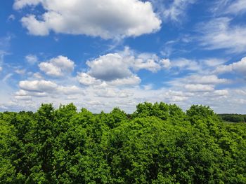 sky