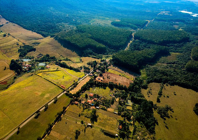 High angle view of agricultural field