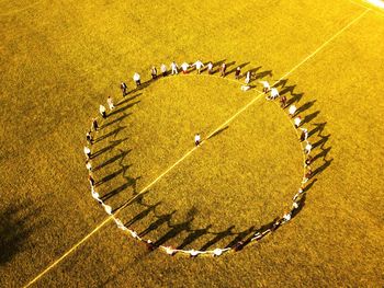 High angle view of yellow ball on grass