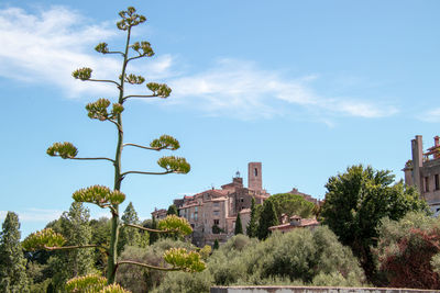 Plants and tree by buildings against sky