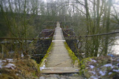 Bridge amidst trees in forest