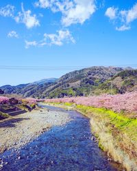 Scenic view of landscape against sky