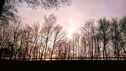 Silhouette of trees against sky during sunset