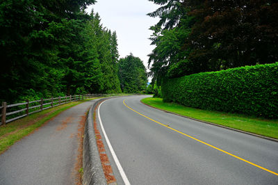 Empty road along trees and plants