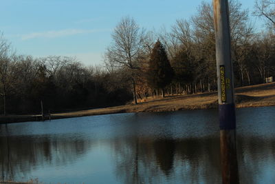 Reflection of trees in lake