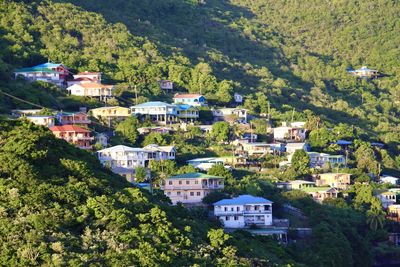 Hilltop in bequia