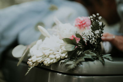Close-up of pink flowering plant