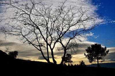 Silhouette bare trees on landscape against sky at sunset