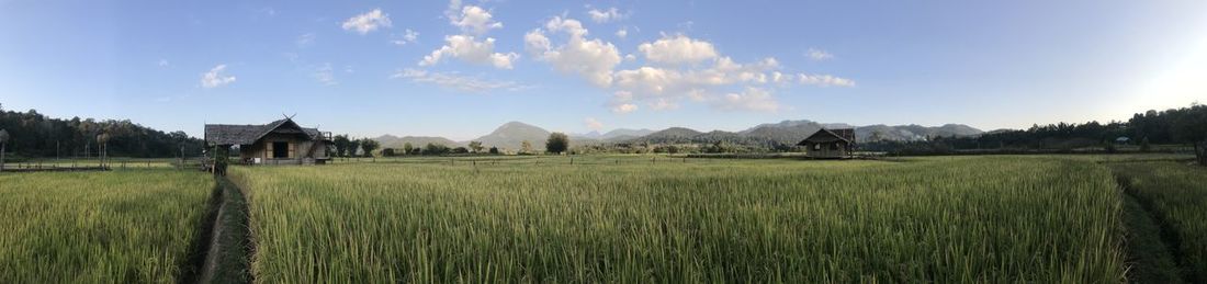 Panoramic shot of agricultural field against sky