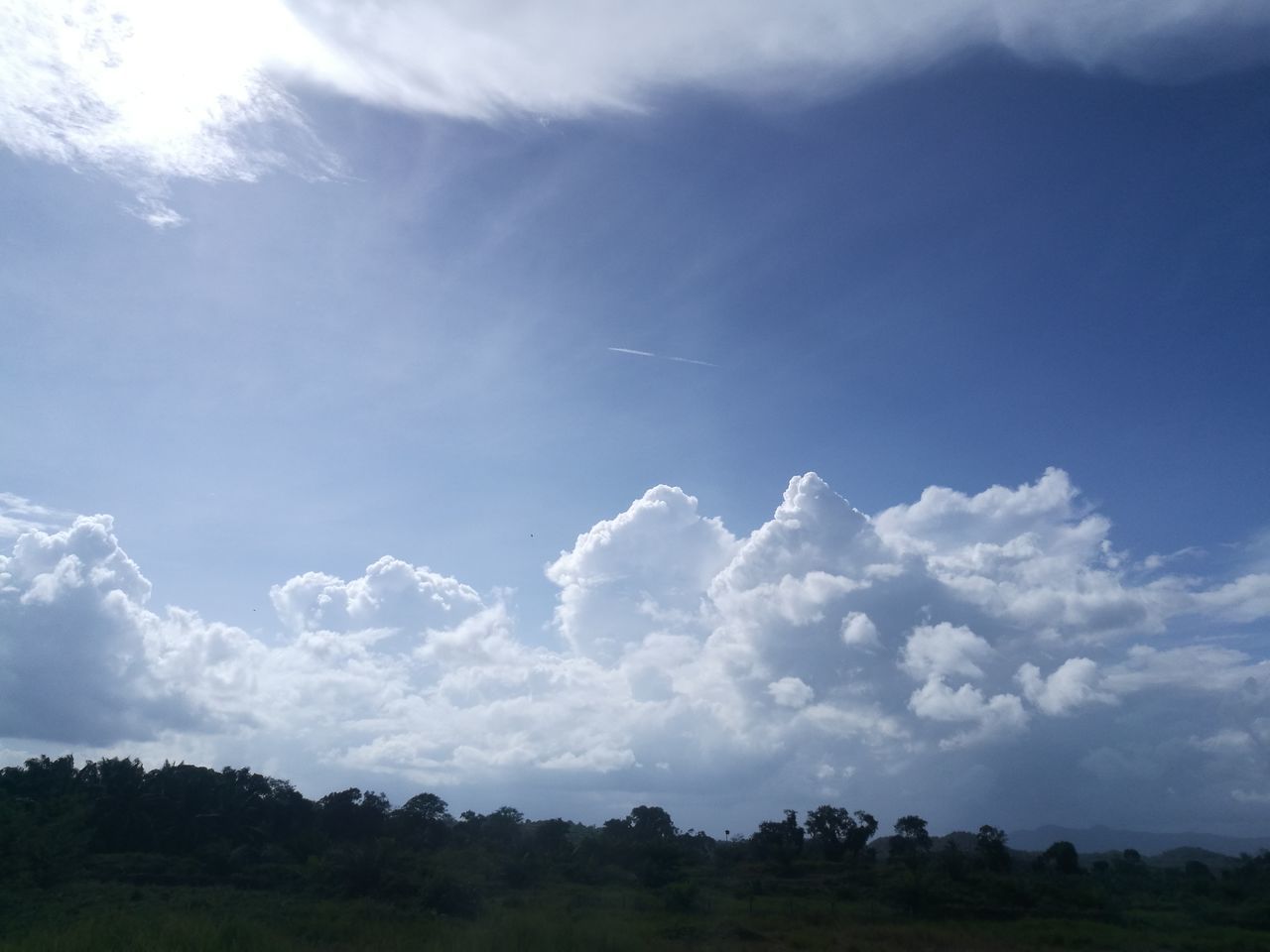 sky, tree, cloud - sky, nature, beauty in nature, tranquility, scenics, low angle view, landscape, outdoors, no people, day