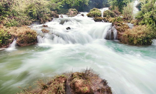Scenic view of waterfall in forest