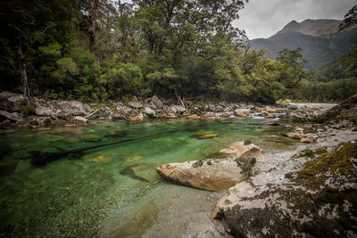 Stream flowing through rocks in forest