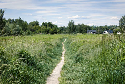 Scenic view of field against sky