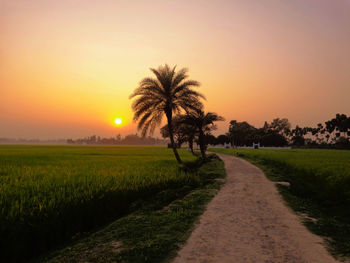 Scenic view of landscape at sunset