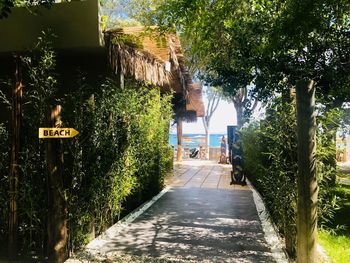 Footpath amidst trees and plants in city