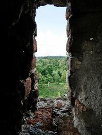 View of trees through cave