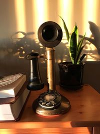 Close-up of potted plant on table at home