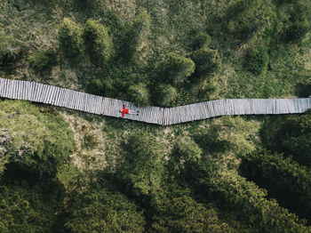 Aerial view of woman lying on boardwalk amidst trees