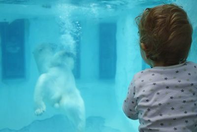 Rear view of baby girl looking at polar bear swimming in aquarium