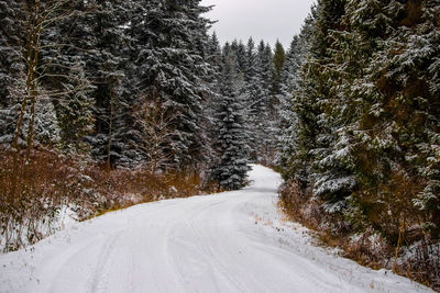 Snow covered road amidst trees during winter