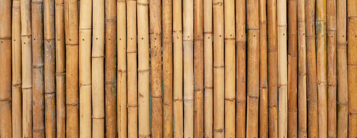 Full frame shot of bamboo