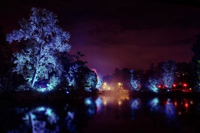 Illuminated trees by lake against sky at night