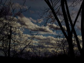 Low angle view of silhouette trees against sky