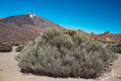 Scenic view of desert against clear blue sky