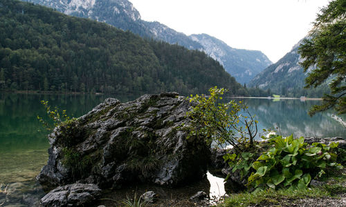 View of calm lake in forest