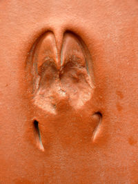 Close-up of heart shape