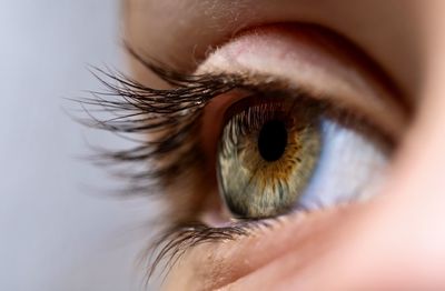 Close-up of human eye