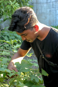 Midsection of man working on plant