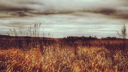 Scenic view of field against cloudy sky