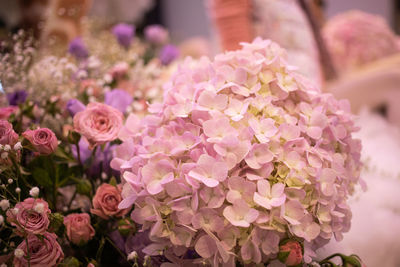 Close-up of fresh pink flower bouquet