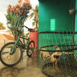 Bicycles on a bicycle