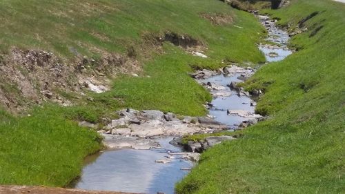 High angle view of stream amidst field