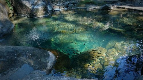 High angle view of water