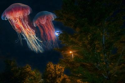 Close-up of illuminated lights in water at night