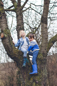 Smiling siblings on tree