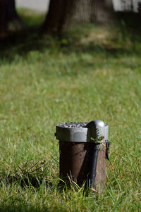 Close-up of grass growing in field