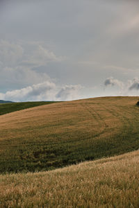 Tuscany field