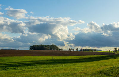 Scenic view of agricultural field against sky