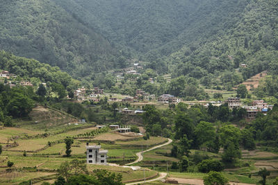 High angle view of trees and buildings