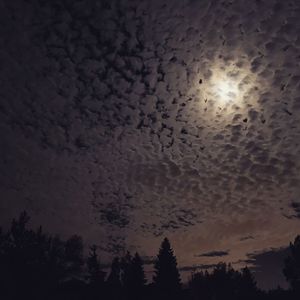 Low angle view of silhouette trees against sky at night