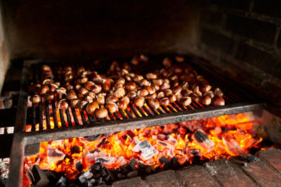 Close-up of food