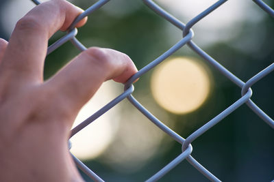 Full frame shot of hand on the chainlink fence