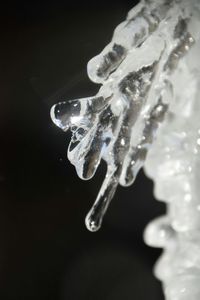 Close-up of frozen water against black background