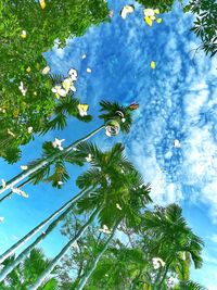 Low angle view of palm tree against blue sky