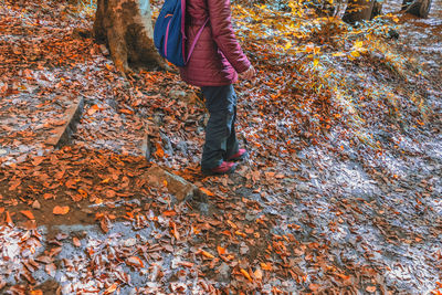 Low section of woman standing on autumn leaves